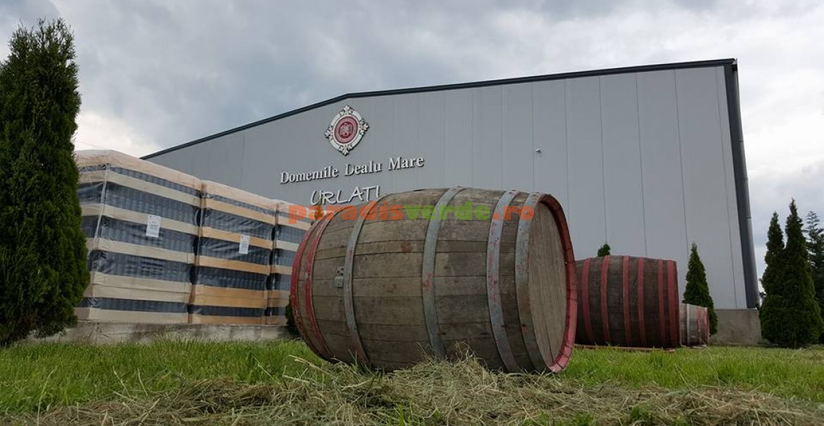 Wine House » Vizite la crame